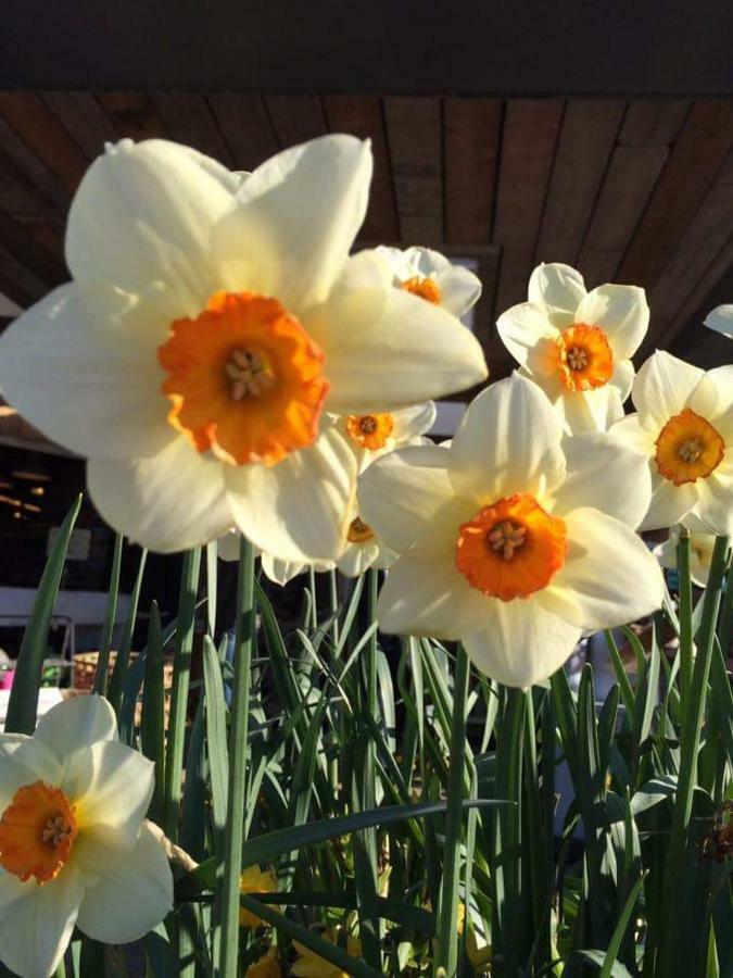 Holland House Bed & Breakfast Ballyshannon Luaran gambar