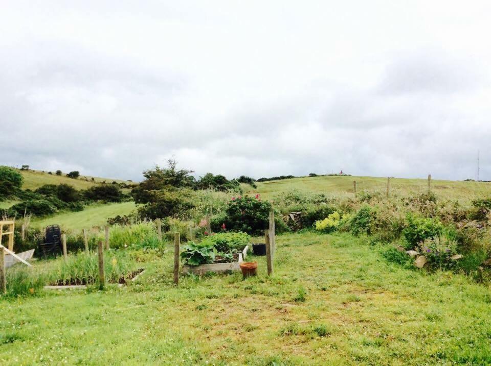 Holland House Bed & Breakfast Ballyshannon Luaran gambar